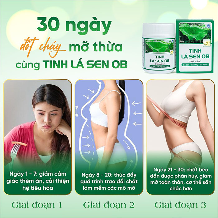 giảm béo cùng tinh lá sen ob